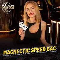 Magnectic Speed Bac OB02