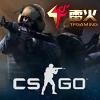 CS:GO