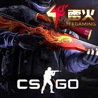 CS:GO Defuse