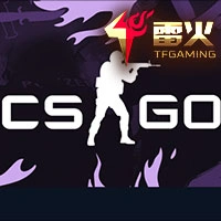 CS:GO Flip
