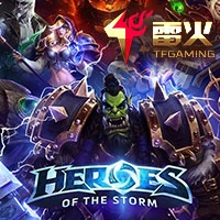 Heroes of the Storm