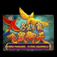 Bird Paradise