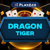 CGY Dragon Tiger N20