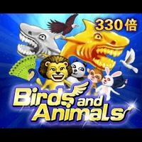 Birds and Animals