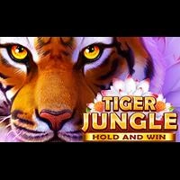 Tiger Jungle