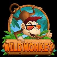 WILD Monkey
