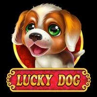 Lucky Dog