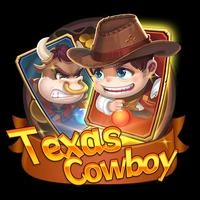 Texas Cowboy