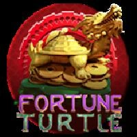 Fortune Turtle