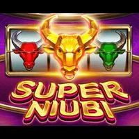 SuperNiubi