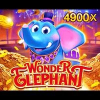 Wonder Elephant