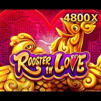Rooster In Love