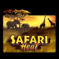 Safari Heat