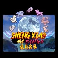 Sheng Xiao Bingo