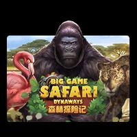 Big Game Safari