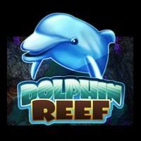 Dolphin Reef