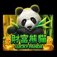 Lucky Panda