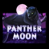 Panther Moon