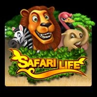 Safari Life