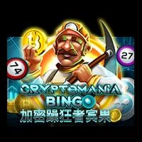 Crypto Mania Bingo