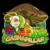 Cashapillar