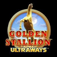 Golden Stallion