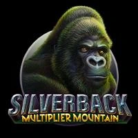 Silverback Multiplier Mountain