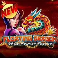Floating Dragon - Year of the Snake