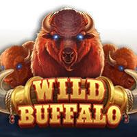 Wild Buffalo